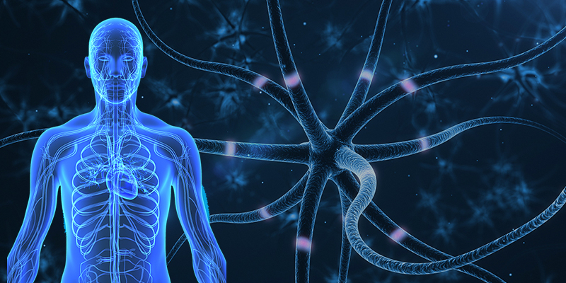 Greenwich Neuropathy